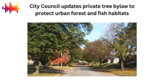 Read more about the article City Hall Update: City Council updates private tree bylaw to protect urban forest and fish habitats