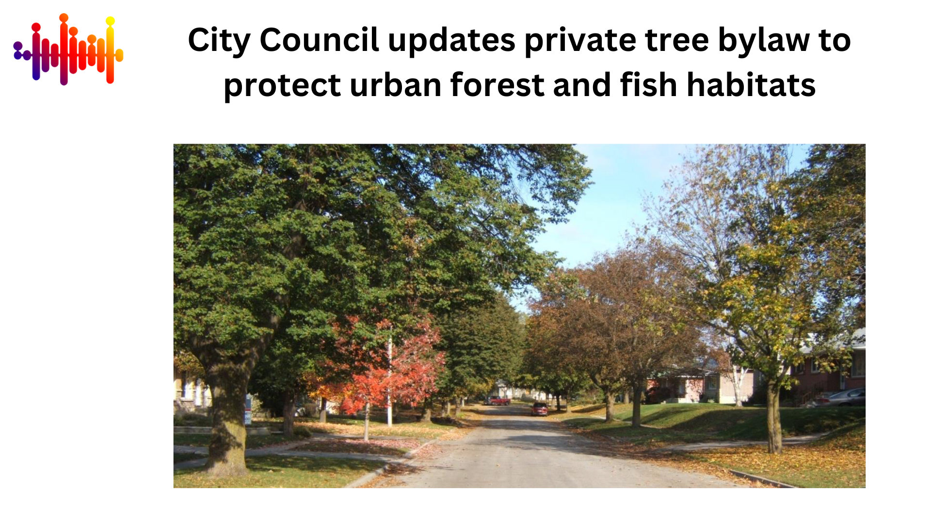 You are currently viewing City Hall Update: City Council updates private tree bylaw to protect urban forest and fish habitats