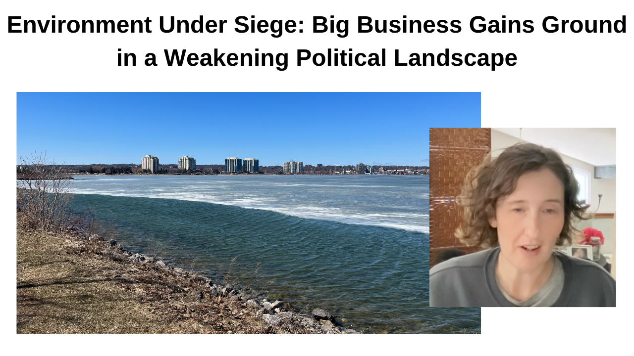 Read more about the article Democracy and Environment Under Siege: Businesses Gains Ground in Dysfunctional Political Landscape